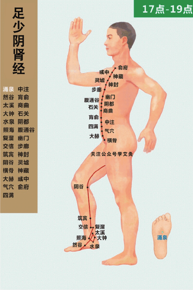 艾灸基础经络常识（4）足太阳膀胱经 足少阴肾经(图2)