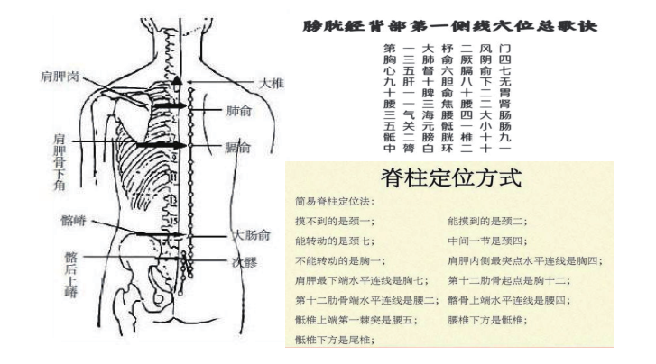 艾灸基础知识之人体核心穴位(图1)