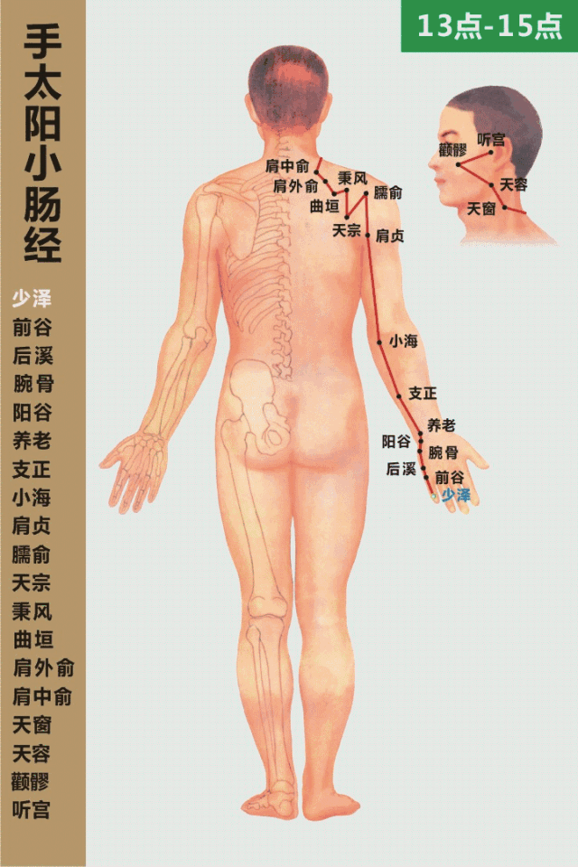 艾灸基础经络常识（3）手少阴心经 手太阳小肠经(图2)
