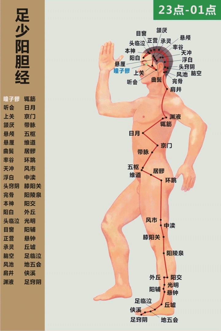 艾灸基础经络常识（5）手少阳三焦经 足少阳胆经(图2)