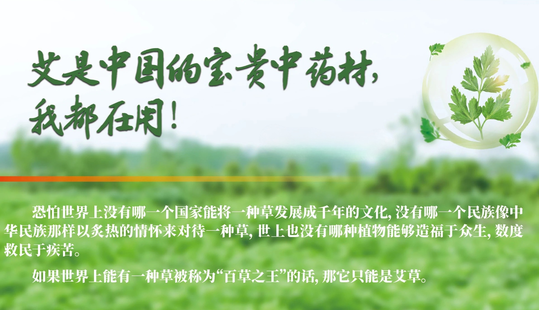 千年国医艾灸店：文化布局铸就核心竞争力(图1)