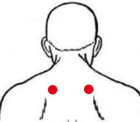 呼吸系统疾病（咳嗽）—取穴参考方案(图2)