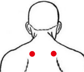 呼吸系统疾病（肺结节）—取穴参考方案(图1)