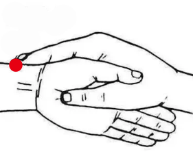 呼吸系统疾病（头痛）—取穴参考方案(图3)