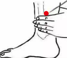 呼吸系统疾病（失眠）—取穴参考方案(图1)