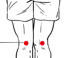 骨关节疾病（急性腰扭伤）—取穴参考方案(图1)