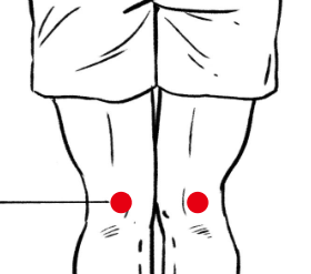 骨关节疾病（腰肌劳损）—取穴参考方案(图1)