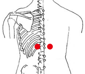 呼吸系统疾病（慢性支气管炎）—取穴参考方案(图3)