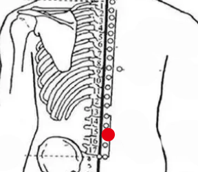 骨关节疾病（坐骨神经痛）—取穴参考方案(图1)