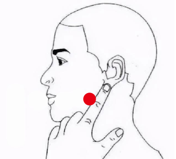 骨关节疾病（口腔溃疡）—取穴参考方案(图2)