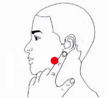 骨关节疾病（牙痛）—取穴参考方案(图2)