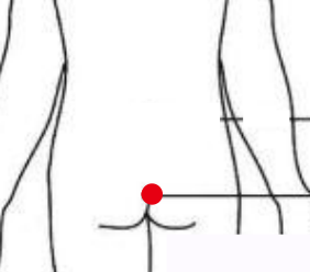 消化系统疾病（痔疮）—取穴参考方案(图1)