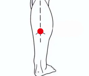 消化系统疾病（痔疮）—取穴参考方案(图3)