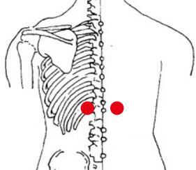 消化系统疾病（慢性结肠炎）—取穴参考方案(图1)