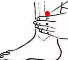 心脑血管疾病（低血糖）—取穴参考方案(图3)