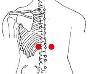 心脑血管疾病（高血糖）—取穴参考方案(图2)
