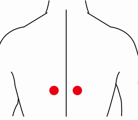 心脑血管疾病（脂肪肝）—取穴参考方案(图1)