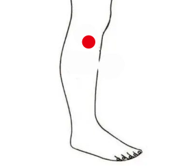 心脑血管疾病（胆结石）—取穴参考方案(图3)