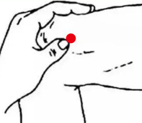 心脑血管疾病（低血压）—取穴参考方案(图2)