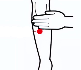 心脑血管疾病（高血脂）—取穴参考方案(图3)