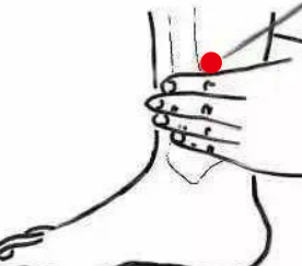 妇科疾病（子宫脱垂）—取穴参考方案(图3)