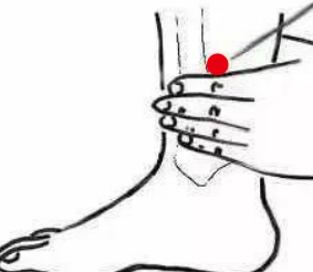 心脑血管疾病（贫血）—取穴参考方案(图3)